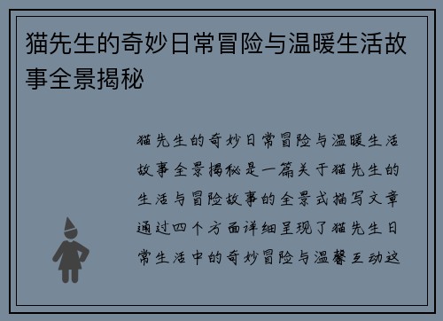 猫先生的奇妙日常冒险与温暖生活故事全景揭秘