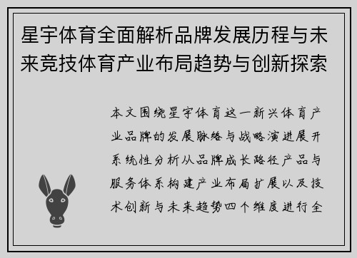 星宇体育全面解析品牌发展历程与未来竞技体育产业布局趋势与创新探索